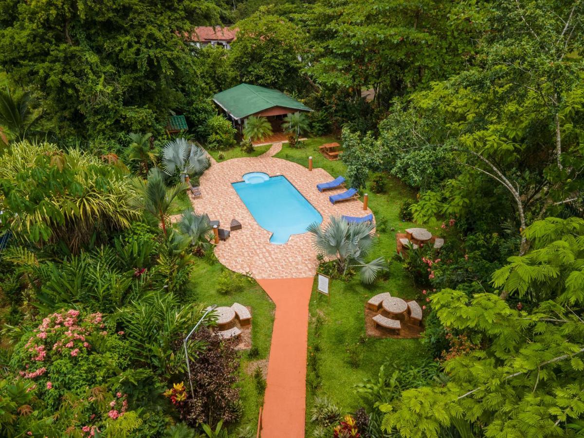 Ara Ambigua Lodge Sarapiquí Εξωτερικό φωτογραφία