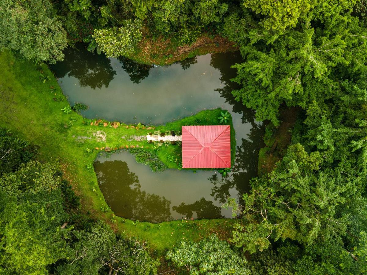 Ara Ambigua Lodge Sarapiquí Εξωτερικό φωτογραφία