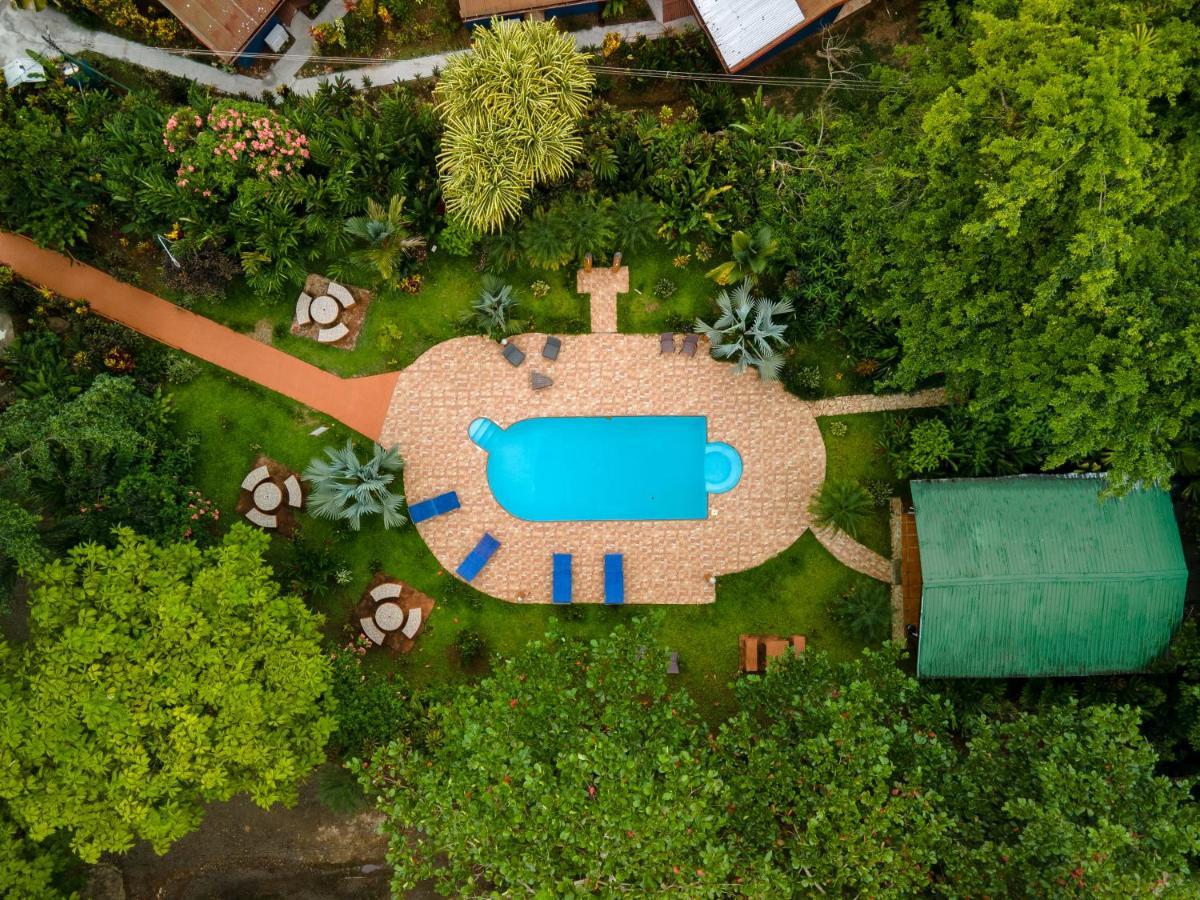 Ara Ambigua Lodge Sarapiquí Εξωτερικό φωτογραφία