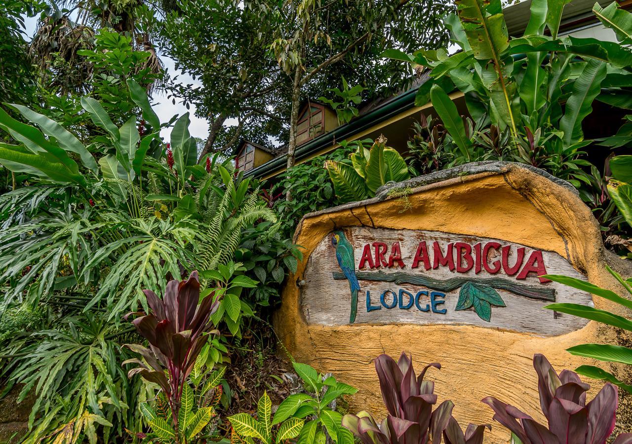 Ara Ambigua Lodge Sarapiquí Εξωτερικό φωτογραφία